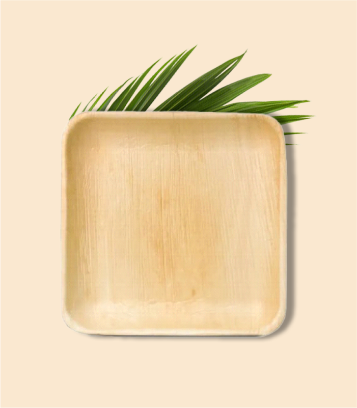 Areca Square Plate